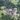 Reddam House Summer Residential Camp