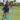 Leighton park summer camp 2025