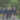 Leighton park summer camp 2025